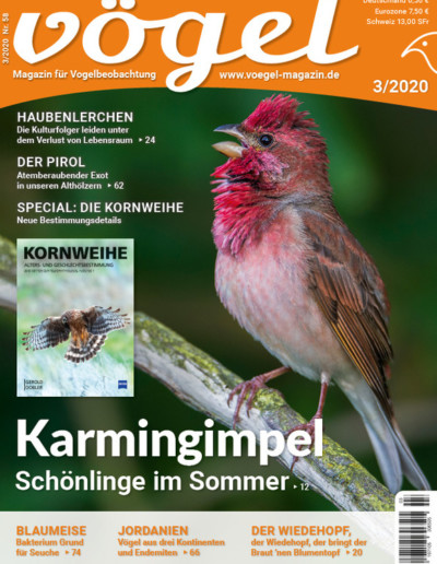 Karmingimpel: "Vögel Heft 3-20"