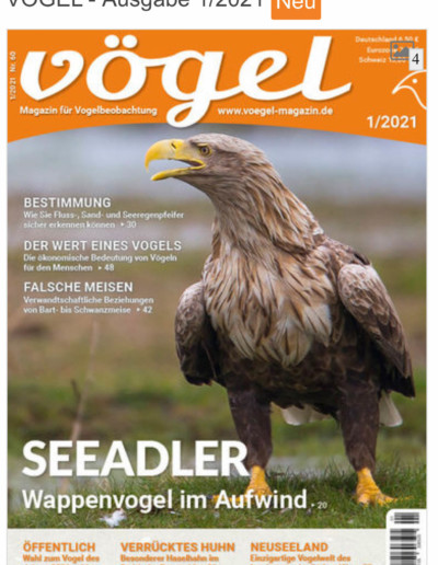 Seeadler: "Vögel Heft 1-21"